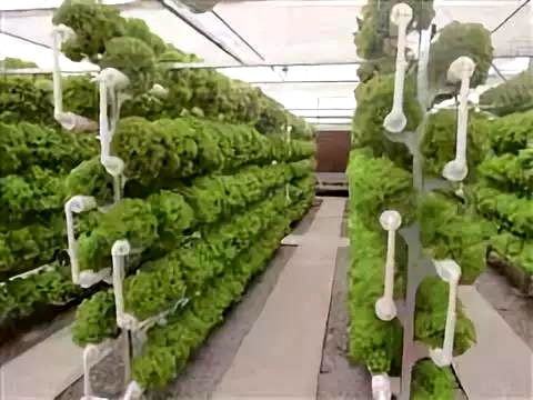 彩虹故鄉(xiāng)，又踏層峰望眼開 互助縣經(jīng)濟社會發(fā)展紀實中的農(nóng)業(yè)種植技術(shù)開發(fā)